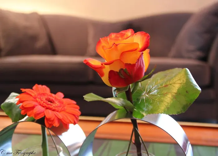 Les Meilleurs Hôtels à Lourdes, France